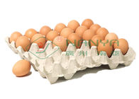 производственная линия подноса яйца 100кв