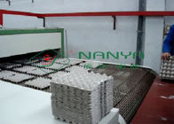 Автоматическая Reciprocating машина 1000pcs/H коробки яйца прессформы подноса/пульпы яйца