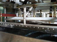 Автоматическая Reciprocating отлитая в форму бумажная производственная линия /1000Pcs/H подноса плодоовощ/подноса яичка