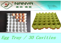 Biodegradable отлитый в форму пульпой поднос яичка продуктов устранимый с 30 полостями
