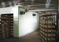 Проложите тоннель тип производственная линия засыхания машины прессформы бумажной пульпы, 220V - 440V