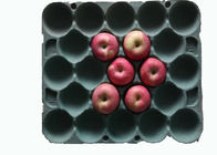 Degradable прямоугольный поднос плодоовощ продуктов бумажной пульпы отлитый в форму с 20 полостями