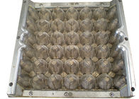 Ориентированная на заказчика отливая в форму медь пульпы 30 прессформы/плашек подноса яичка полостей