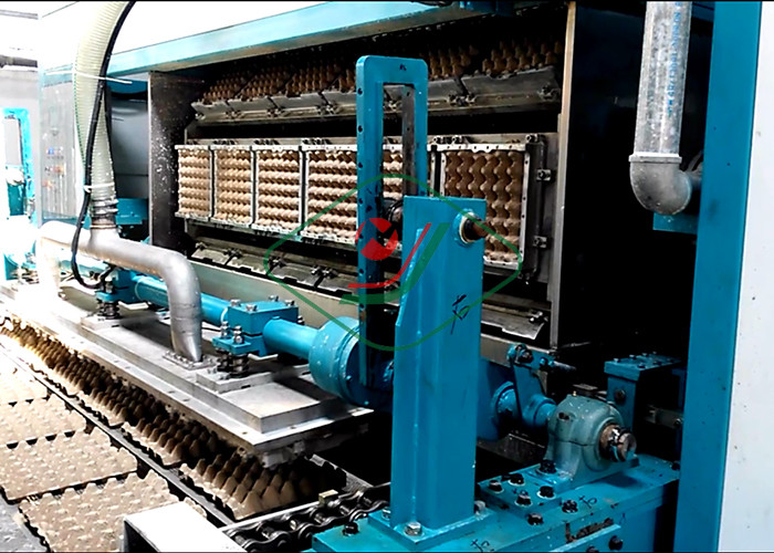 Автоматическое машинное оборудование прессформы раковины яйца машины подноса яйца пульпы макулатуры отлитое в форму