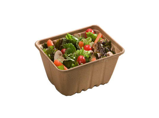 Коробка быстро-приготовленного питания/устранимый Tableware делая засыхание машины в прессформе 7000Pcs/h