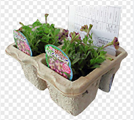 коробка яйца бумаги 2200Pcs/H/поднос яйца делая линию соединения пульпы машины