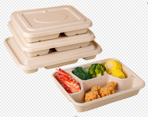 Польностью автоматический Tableware делая машину для отлитых в форму пакетов пульпы