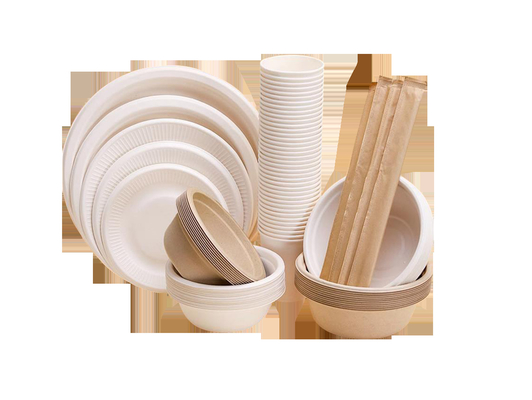 Оборудование прессформы пульпы Tableware девственницы бумажное, устранимая машина делать бумажных тарелок