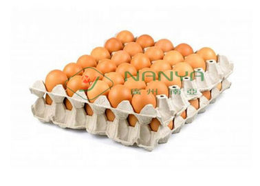 Роторная автоматическая машина подноса яйца для индустрии 4000Пкс/х продукции коробки