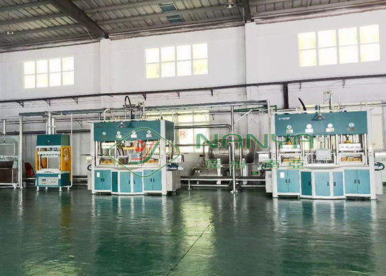 250kw Thermoforming отлило машину в форму пульпы для пакета Finery внутреннего