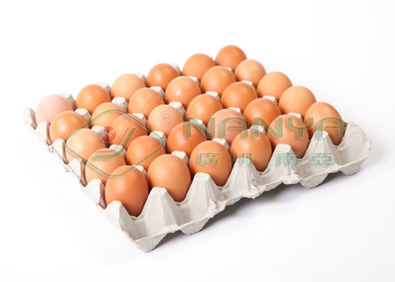Отлитая в форму пульпой производственная линия подноса яичка продуктов, машина пульпы отливая в форму