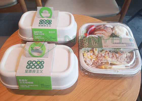 Оборудование прессформы пульпы бумажной плиты Eco для Takeaway еды кладет CE в коробку