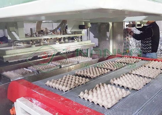 Машина для формования целлюлозы для одноразовой белой бумаги формованная картонка для перепелиных яиц / яичная поднос с 90 полостями