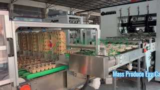 Полностью автоматическая машина для изготовления картонных коробок для яиц/Лоток для яиц массового производства/Машина для изготовления картонных коробок
